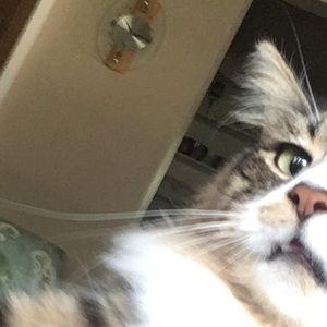 Meet your Posher, Maddy